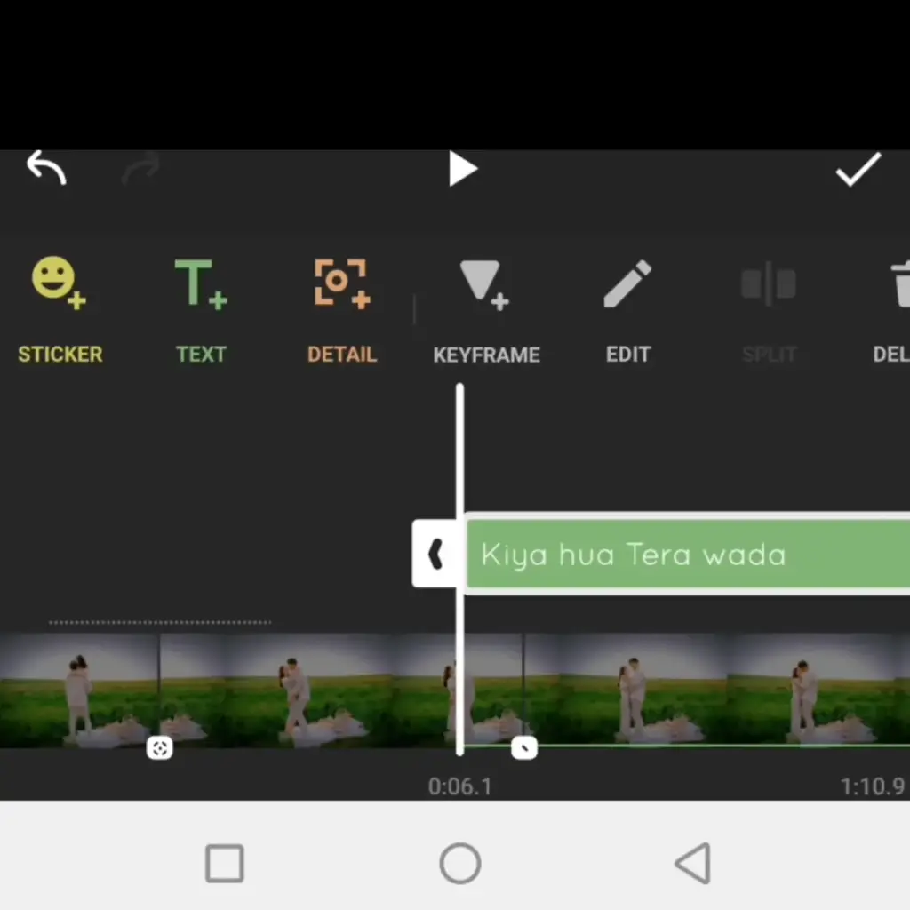 InShot Pro APK Text Feature