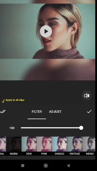 Variety of Filters & Effects in InShot Pro APK