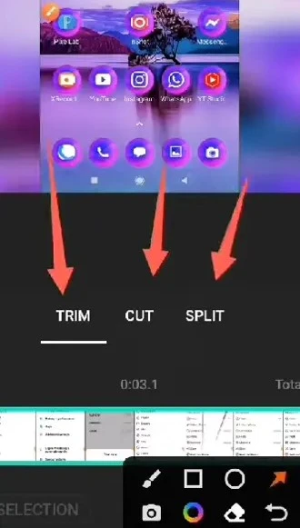 Trim & Split options of InShot Pro App